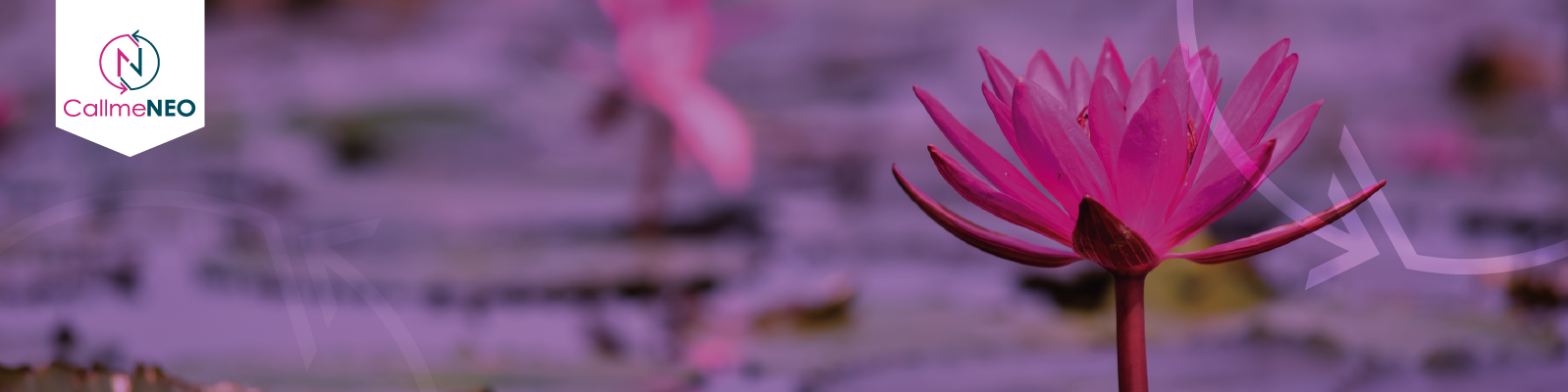 Mastering the Space: How to Thrive in the Face of Opposition-img